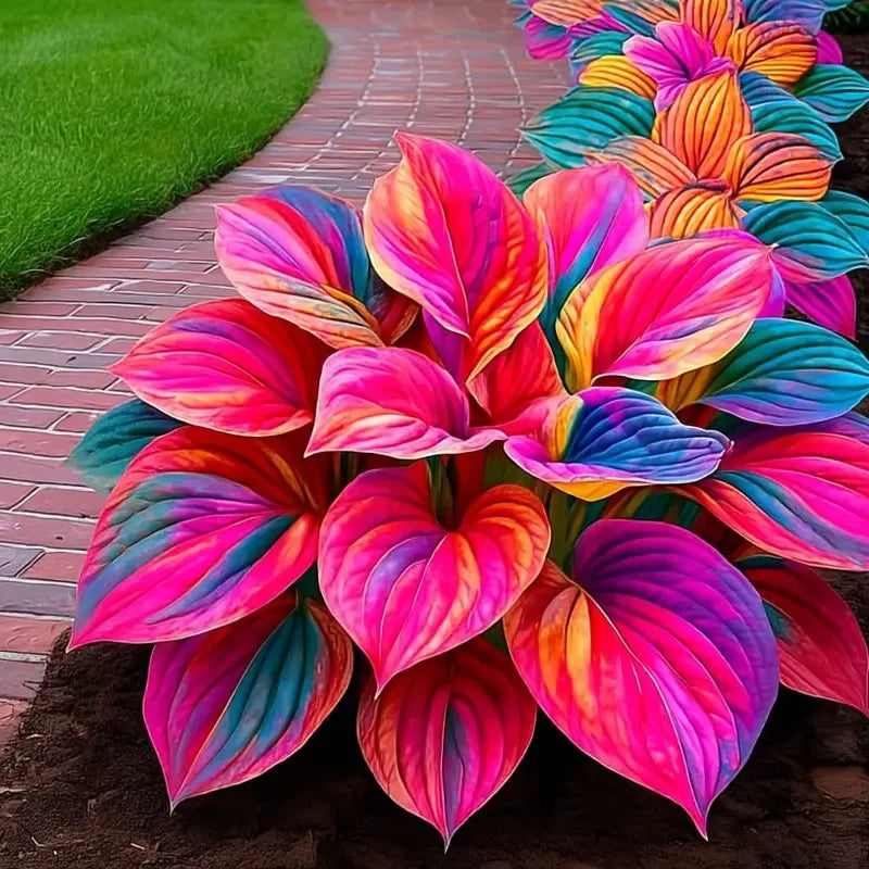 /697c3bbc8e89470009c12e5a/2026/04/14/product-img-69ddede6f707c0639afa465c.png